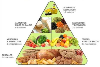 Claves de una Dieta Vegetariana saludable y equilibrada